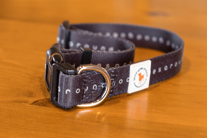 Good Goes Around - Black Dog Collar