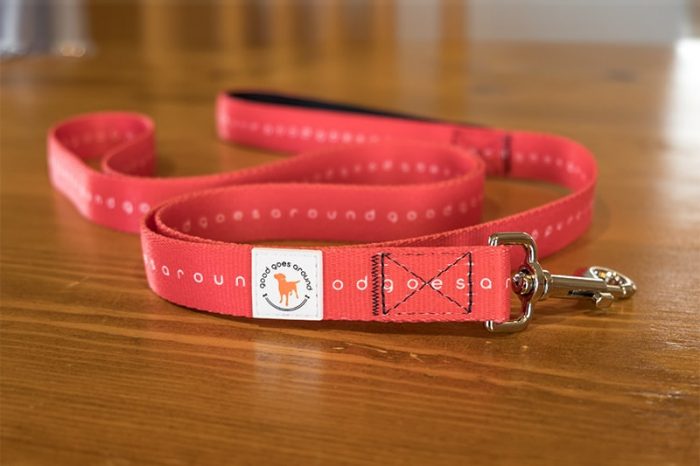 Good Goes Around - Red Dog Leash